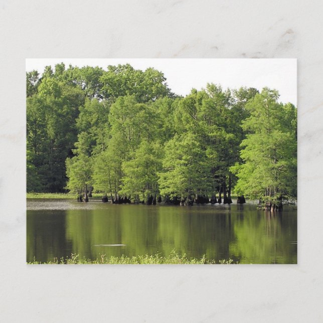 Cartão Postal Quiet Cove (Frente)