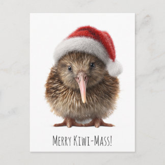 Cartão Postal Quirky Kiwi de Natal com Chapéu Vermelho de Papai
