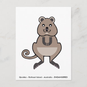 Cartão Postal Quokka Fofa - Amante de animais - Vida selvagem - 
