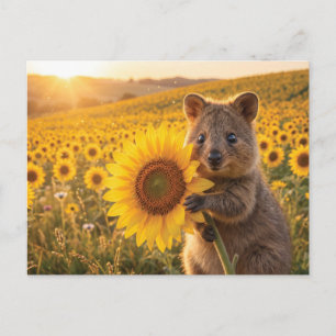 Cartão Postal Quokka Sorridente Feliz Segurando um Girassol