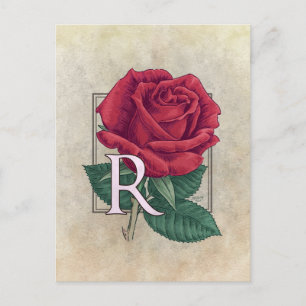 Cartão Postal R para Monograma da Flor Rosa