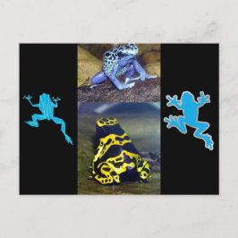 CARTÃO POSTAL RÃ AZUL DE DARDA