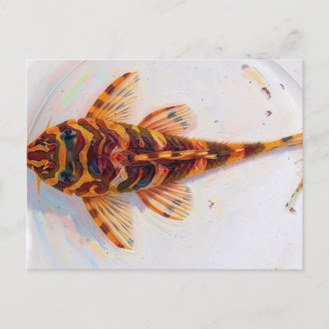 Cartão Postal rã leopardo L134 pleco (Frente)