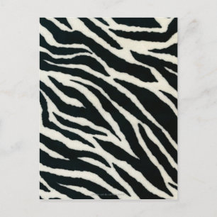 Cartão Postal RAB Rockabilly Zebra Imprime Preto e Branco