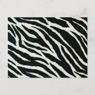 Cartão Postal RAB Rockabilly Zebra Imprime Preto e Branco