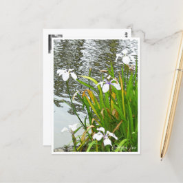 Cartão Postal Rabbitear Iris