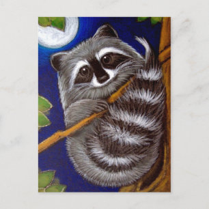 Cartão postal RACCOON