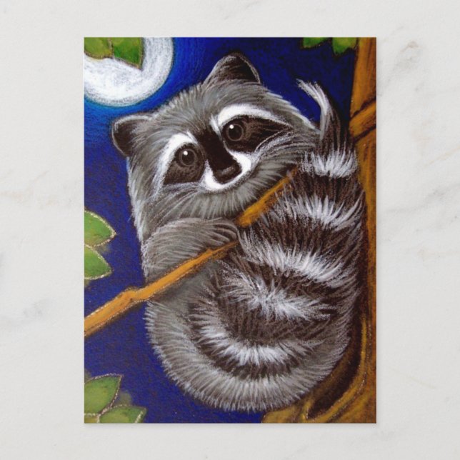 Cartão postal RACCOON (Frente)