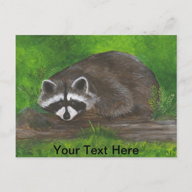 Cartão Postal Raccoon (Frente)