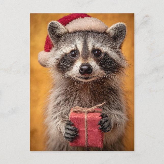 Cartão Postal Raccoon Adorável em Santa Chapéu Segurando Present (Frente)