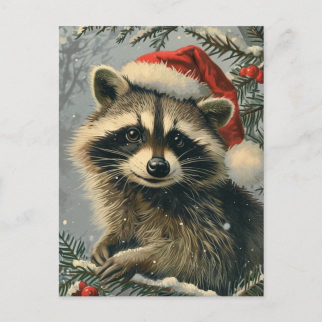 Cartão Postal Raccoon Christmas (Frente)