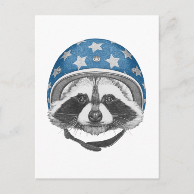 Cartão Postal Raccoon Daredevil (Frente)