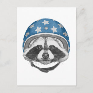Cartão Postal Raccoon Daredevil