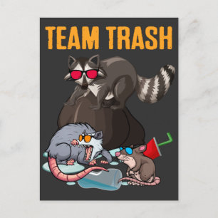 Cartão Postal Raccoon Rat Trash Panda Lixo Humor