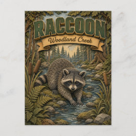 Cartão Postal Raccoon Woodland Creek POPCUT