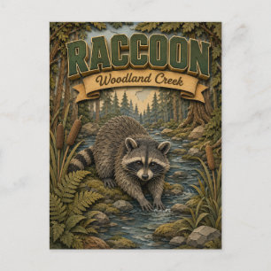 Cartão Postal Raccoon Woodland Creek POPCUT