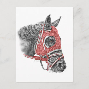 Cartão Postal Race Horse Portrait Silks