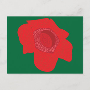 Cartão Postal Rafflesia