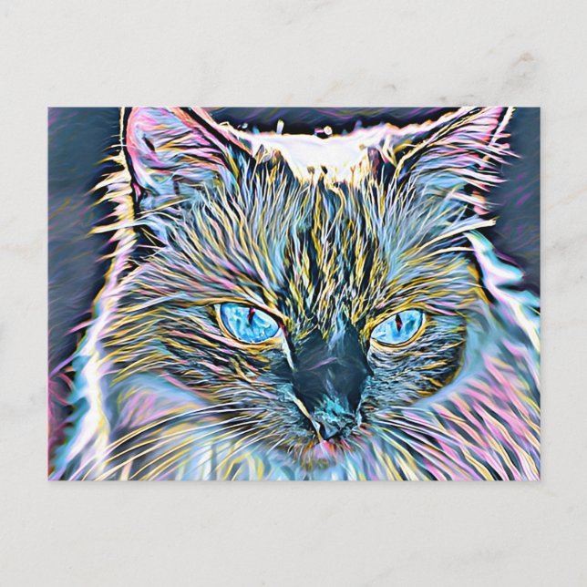 Cartão Postal Ragdoll Art (Frente)