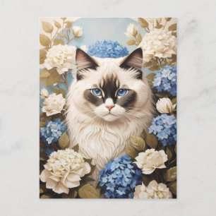 Cartão Postal Ragdoll Cat Com Flores De Hydrangea Azuis