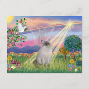 Cartão Postal Ragdoll Cat (Ponto Azul) - Cloud Angel