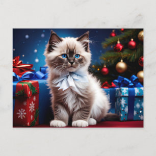 Cartão Postal Ragdoll Kitten Natal Presente