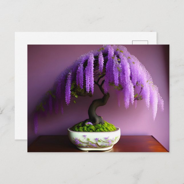 Cartão Postal Rain Purple Wisteria Bonsai, Pós-cruzamento (Frente/Verso)