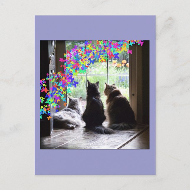 Cartão Postal Rainbow Bridge cat condolence postcard (Frente)