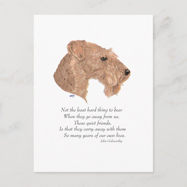 Cartão Postal Rainbow Bridge Keepsaname (Frente)