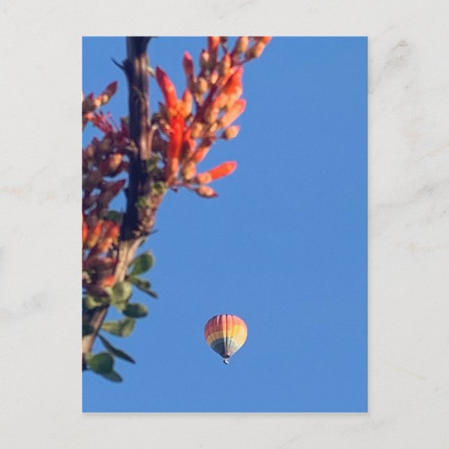 Cartão Postal Rainbow Hot Air Balloon Novo México (Frente)