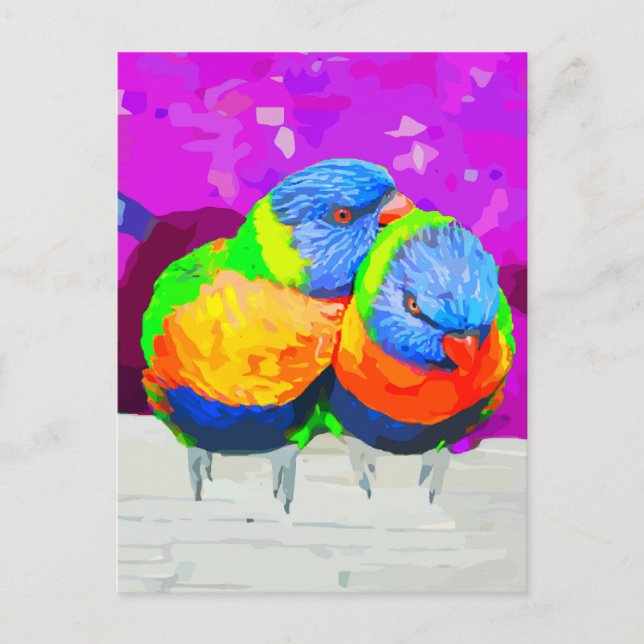 Cartão Postal Rainbow Lorikeets Love Birds Casal (Frente)