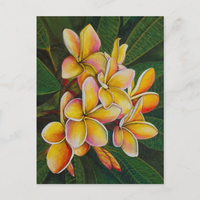 Cartão Postal Rainbow Plumeria (Frente)