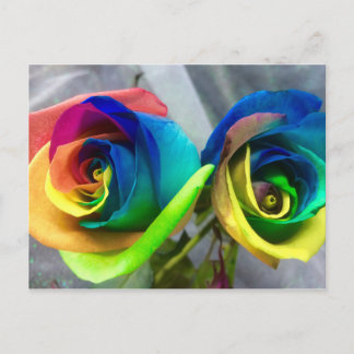 Cartão Postal Rainbow roses postcard