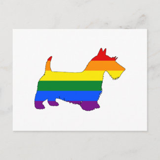 Cartão Postal Rainbow Scottish Terrier