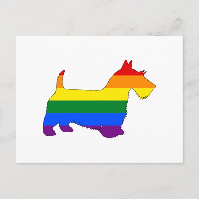 Cartão Postal Rainbow Scottish Terrier (Frente)