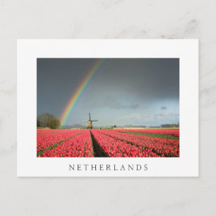 Cartão postal Rainbow, tulipas e moinho de vento 