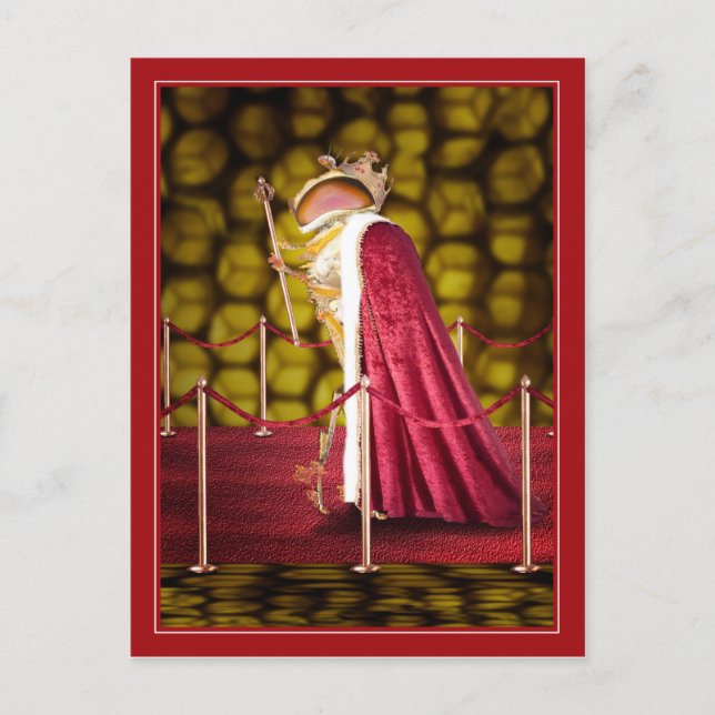 Cartão Postal Rainha Bee (Frente)