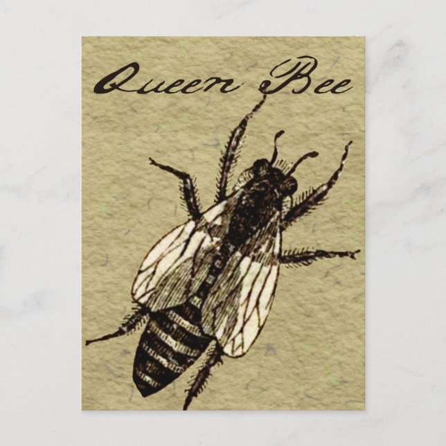 Cartão Postal Rainha Bee Wildlife Flying Inseto Inseto (Frente)
