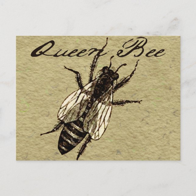 Cartão Postal Rainha Bee Wildlife Inseto Insetório (Frente)