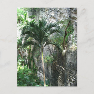 Cartão Postal Rainha da Escadaria