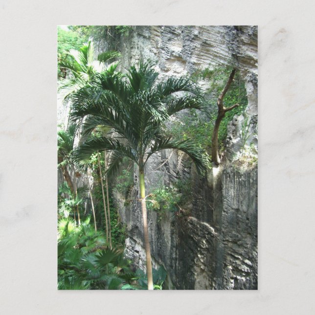 Cartão Postal Rainha da Escadaria (Frente)