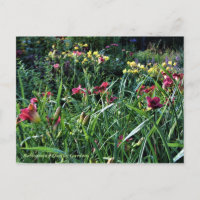 Rainha Dia de Reflorescência Jardins Diários
