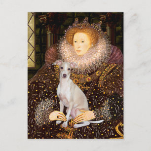 Cartão Postal Rainha - Galgo Italiano 7