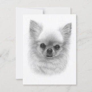 Cartão Postal Rainha Vigorosa - Arte Chihuahua Pintada à Mão