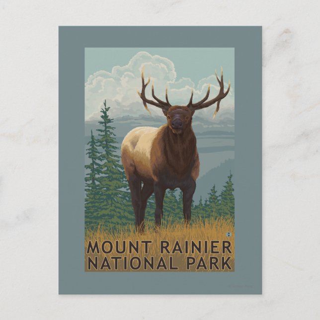 Cartão Postal Rainier National Park, WashingtonElk Scene (Frente)