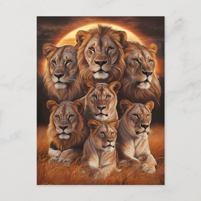 Cartão Postal Raio da Noite: Leões em Lua (Frente)