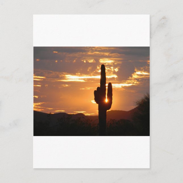 Cartão Postal Raios de Saguaro (Frente)
