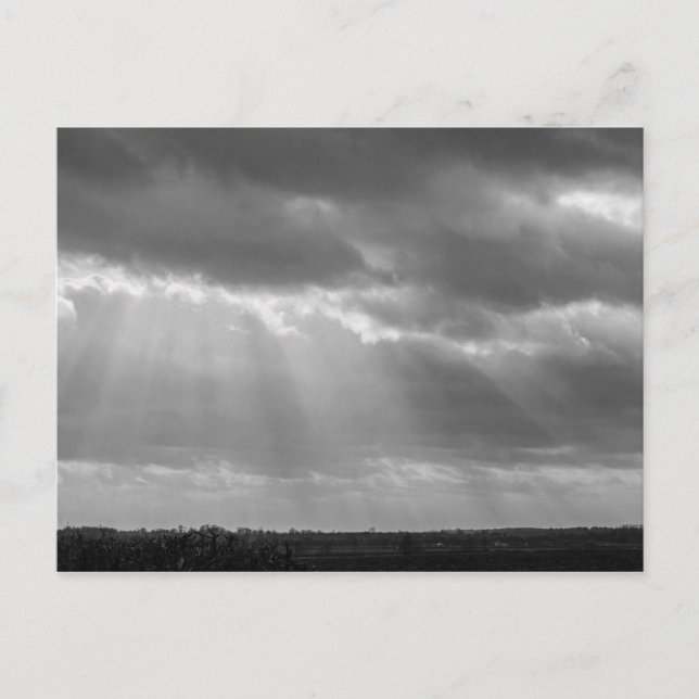 Cartão Postal Raios solares brancos e pretos (Frente)