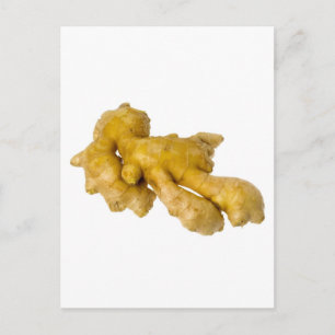 Cartão Postal Raiz Ginger