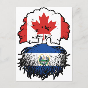 Cartão Postal Raízes de árvores do Canadá El Salvador Salvadoren